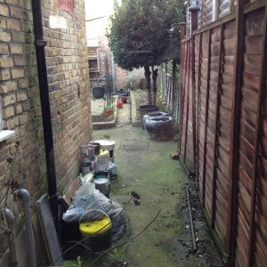 Old garden