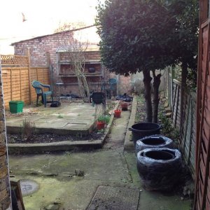 Garden renovation