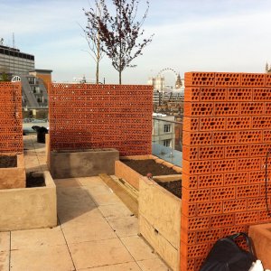 DTM Interiors roof garden