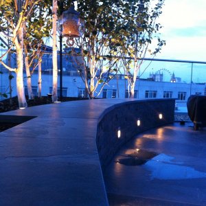Roof garden trees