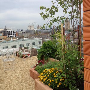Roof garden central London