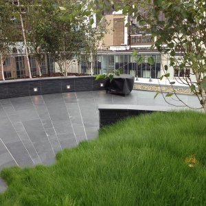 Roof garden with grass