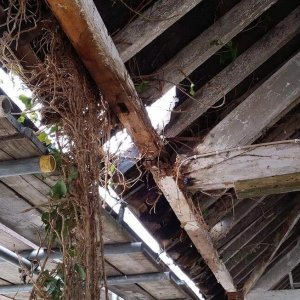 dtminteriors-barn-conversion-01